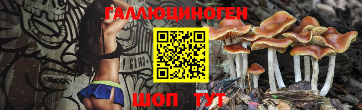 Галлюциногенные грибы Cubensis Южно-Сахалинск